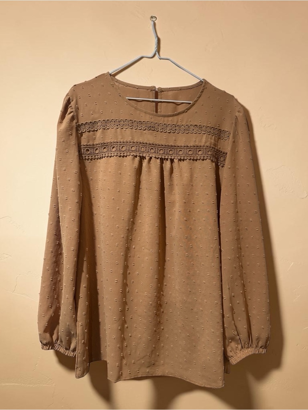 Women's Long Sleeve Swiss Dot Blouse in Tan